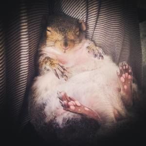 Meet your Posher, Katarzyna